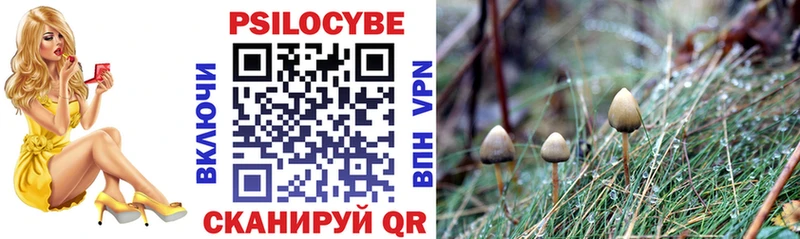Псилоцибиновые грибы MAGIC MUSHROOMS  ОМГ ОМГ ссылки  Амурск 