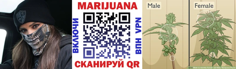 Каннабис LSD WEED  где найти   Амурск 